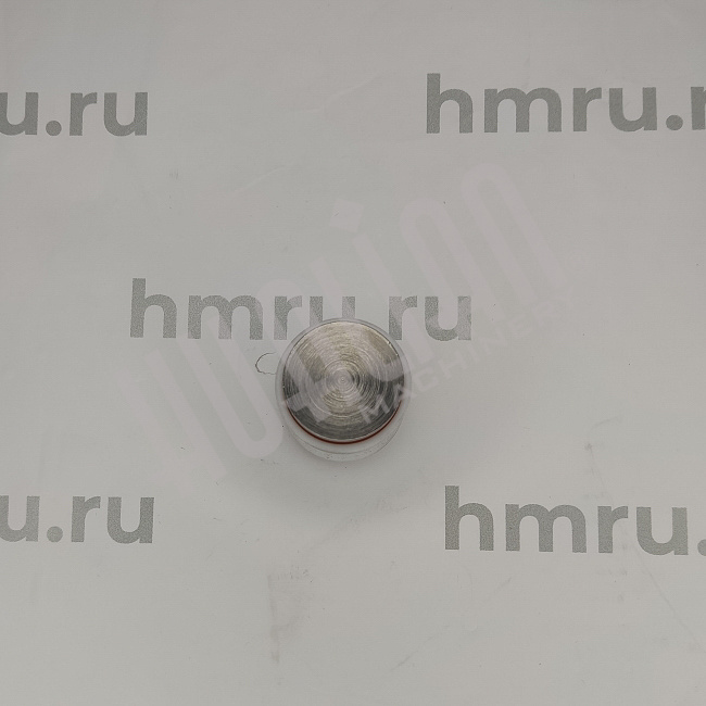 Поршень с кольцами (PTFE) для LPF/PPF-100(T) Hualian - Купить с доставкой по всему Казахстану