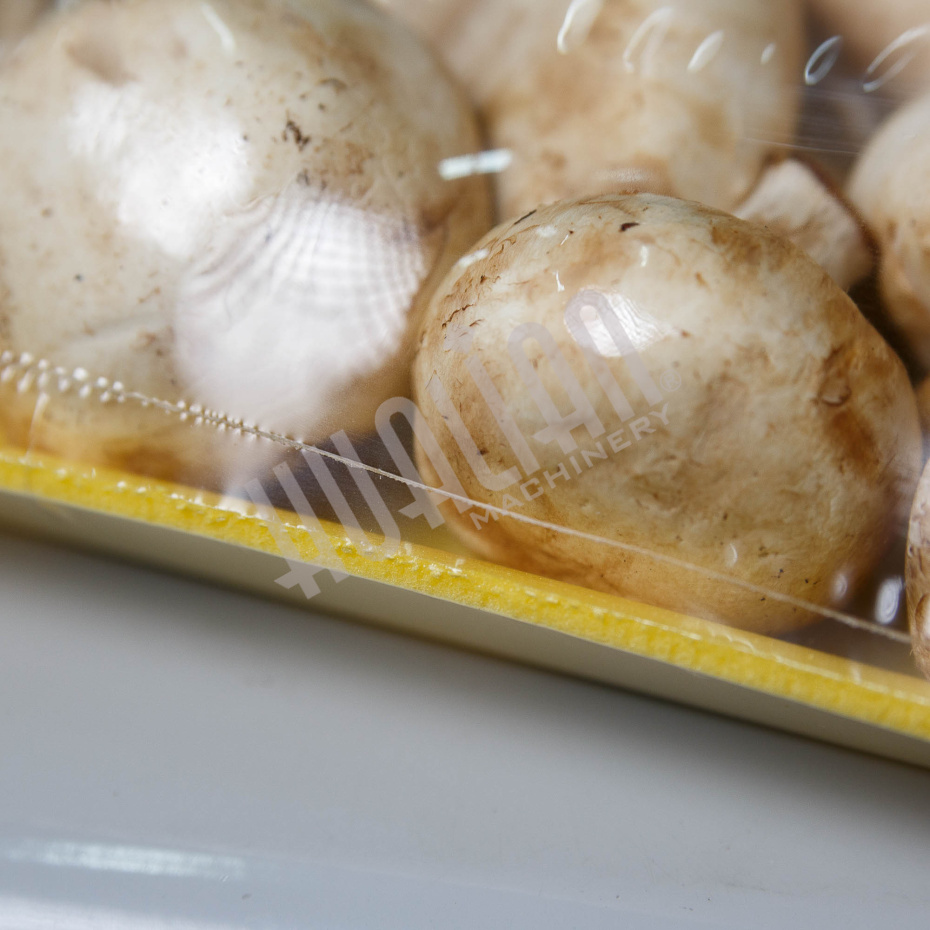 Автоматический нож для запайки BSF-5640LG (Customization H 120) Hualian - Купить с доставкой по всему Казахстану