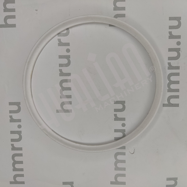 Уплотнительное кольцо PTFE на дозирующий поршень для PPF/LPF-5000 Hualian - Купить с доставкой по всему Казахстану