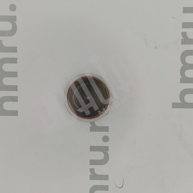 Поршень с кольцами (PTFE) для LPF/PPF-50(T) Hualian - Купить с доставкой по всему Казахстану