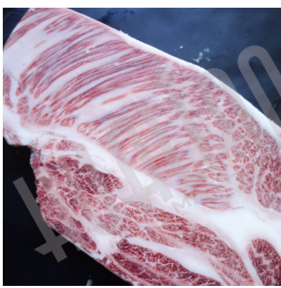 Инъектор ZSF-88 Hualian - Купить с доставкой по всему Казахстану